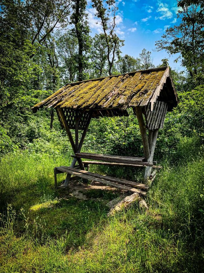 Gaestehaus An Der Berbke Arnsberg Eksteriør bilde